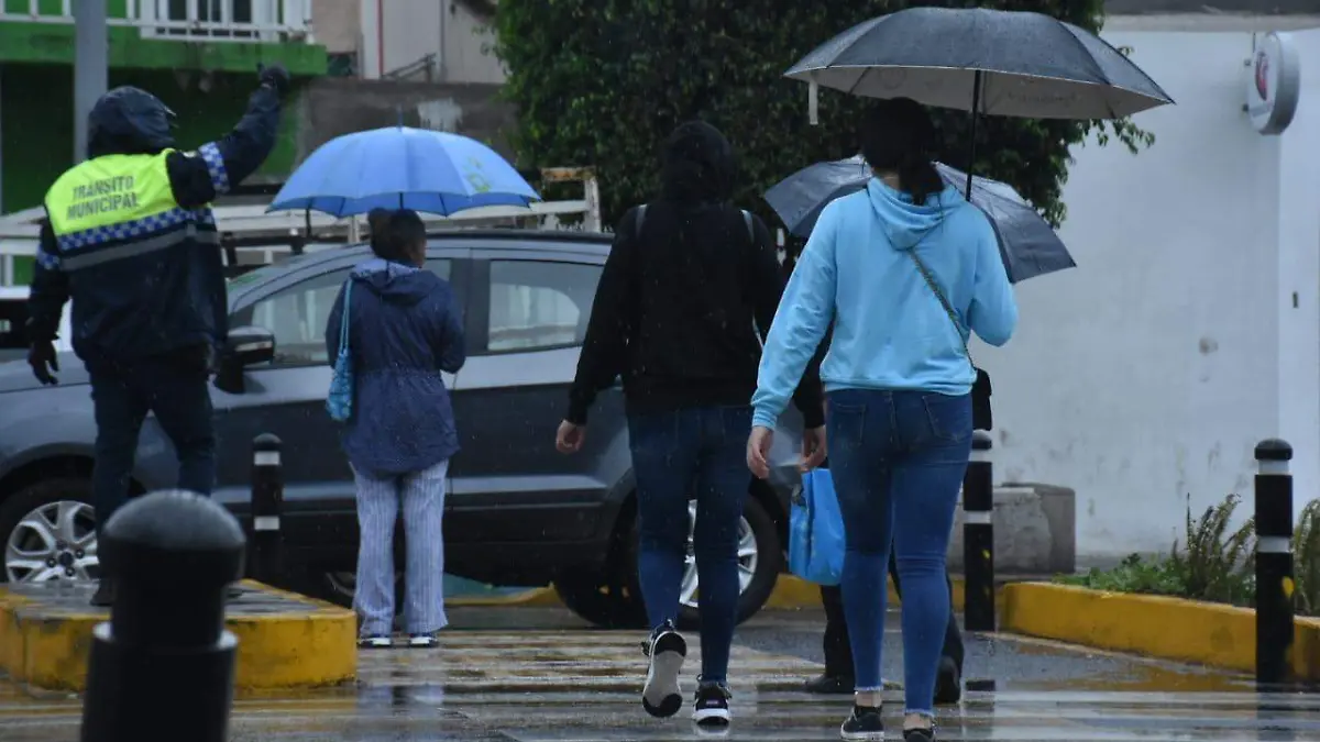 Reciben irapuatenses primeras lluvias con optimismo (4)